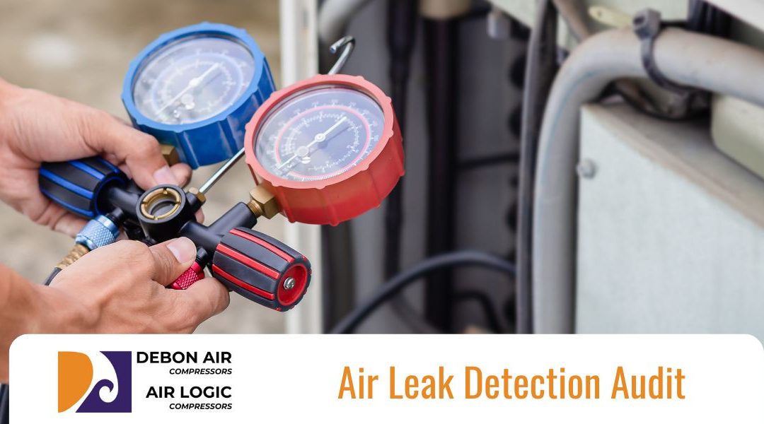 Air Leak Detection Audit